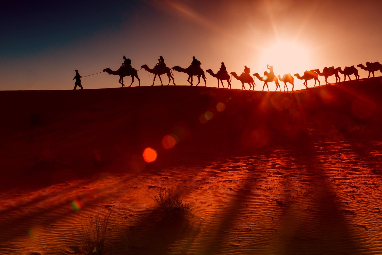 Abu Dhabi Desert Safari Camel Rides
