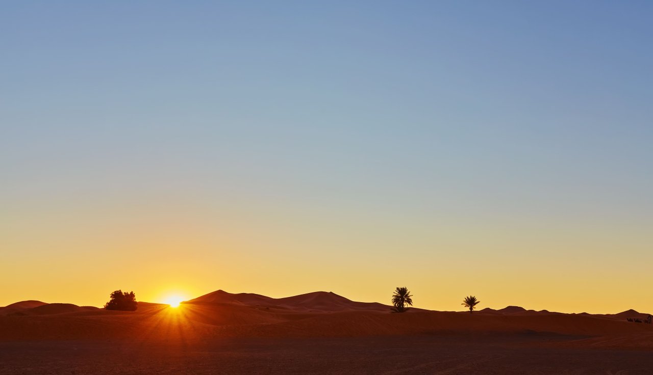 Al Khatim Desert: Sunrise Safari