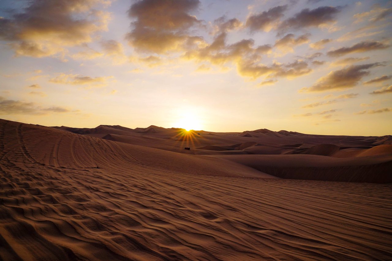 Morning Desert Safari Abu Dhabi