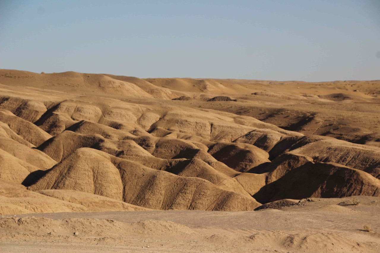Abu Dhabi Fossil Dunes: Time, Nature & Eco Tours