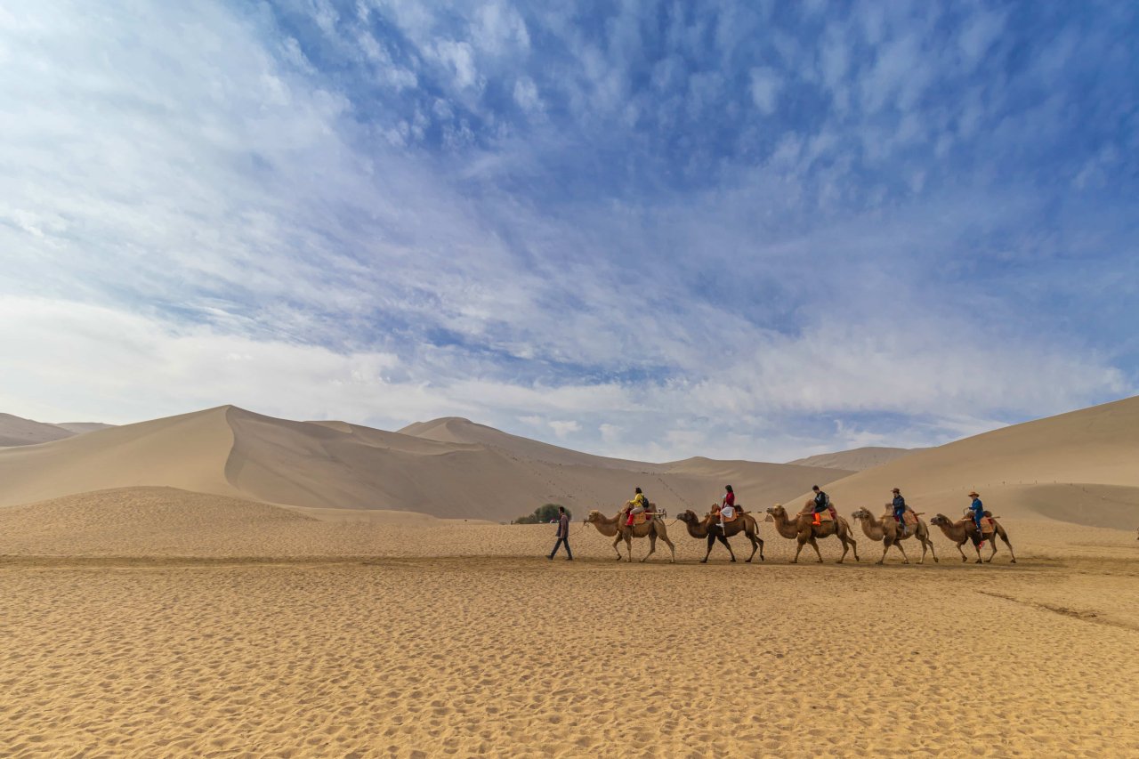 camel trekking in Abu Dhabi’s desert festival