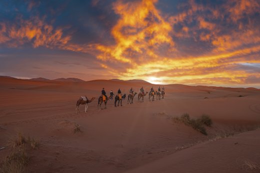 Abu dhabi Morning Desert Safari