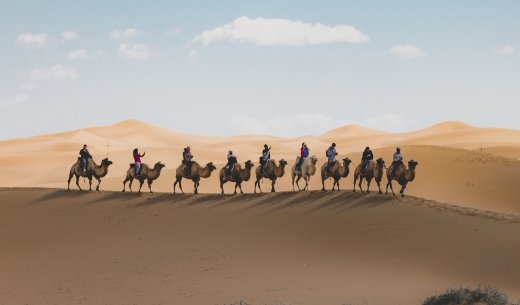 Conquer the Dunes of Abu Dhabi