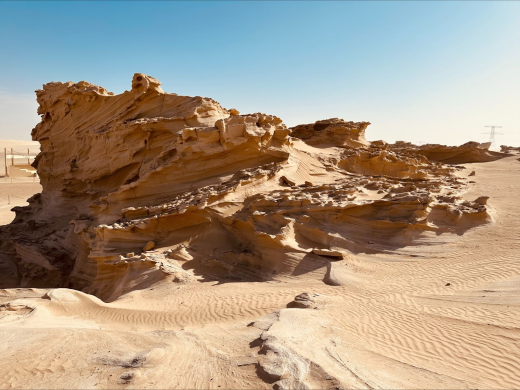 Exploring the Fossil Dunes