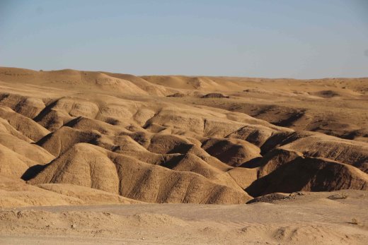  Abu Dhabi Fossil Dunes: Time, Nature & Eco Tours