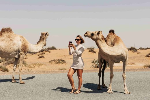 Abu Dhabi Excursions for Nature Lovers