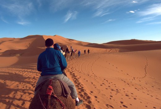 Camel Trekking & Couples