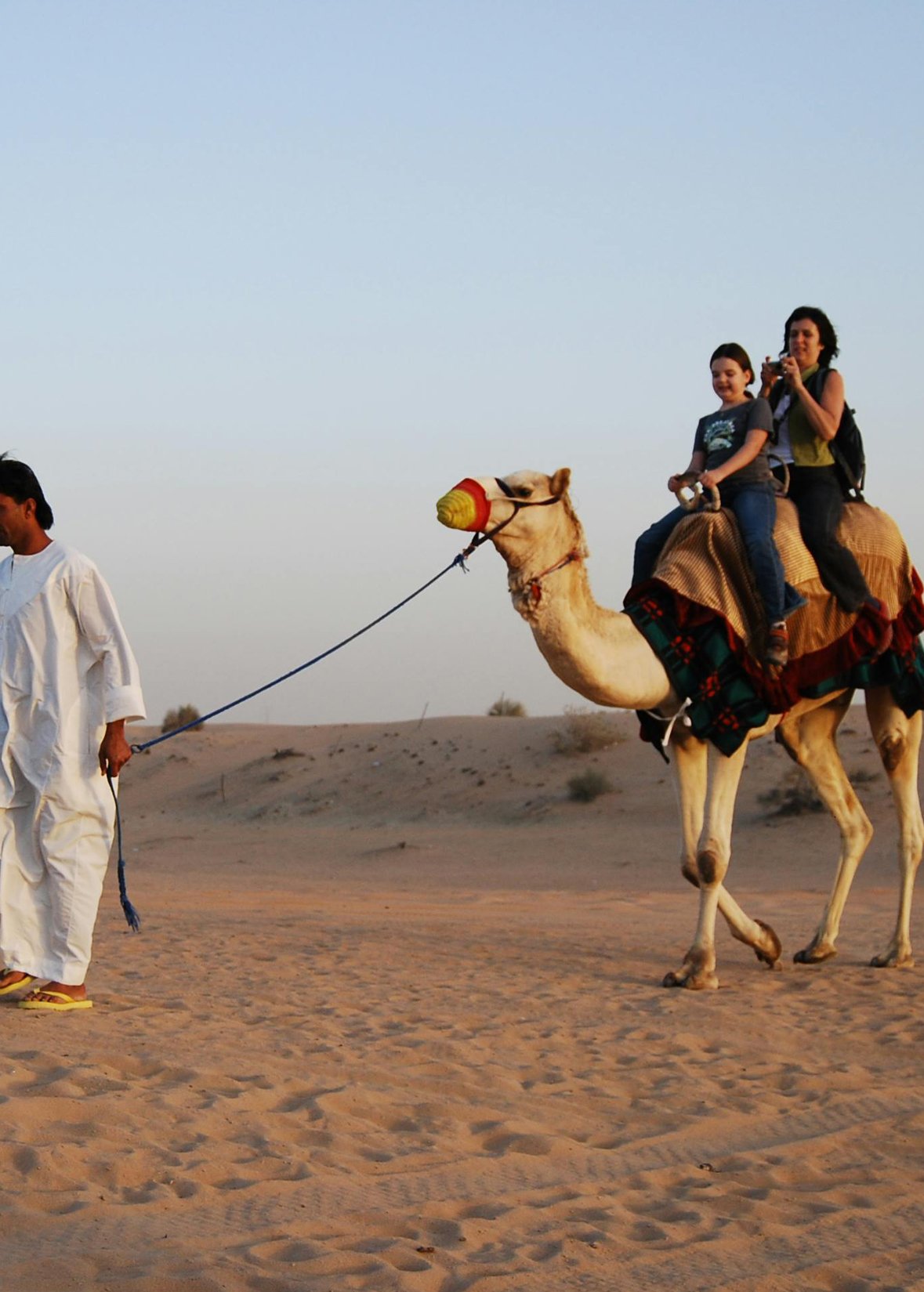 Camel Ride in Abu Dhabi